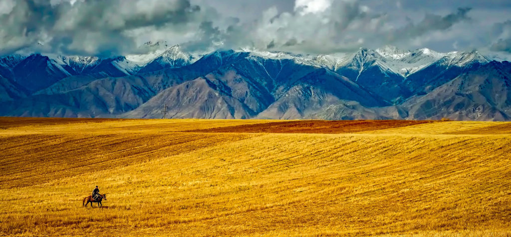 grassroots organizing around the rural west