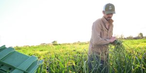 family farmer