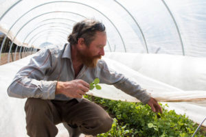 independent farmer