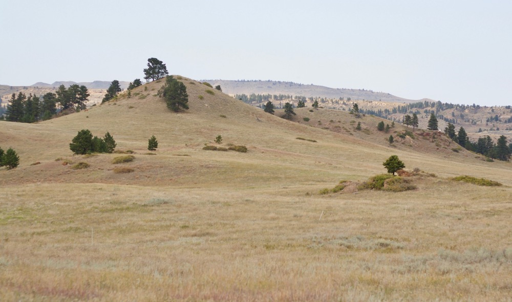 moccasin family land threatened by coal