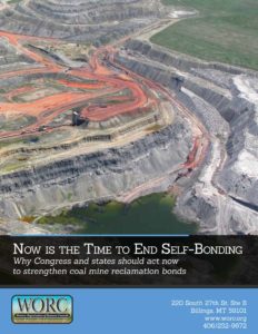 Coal self bond report