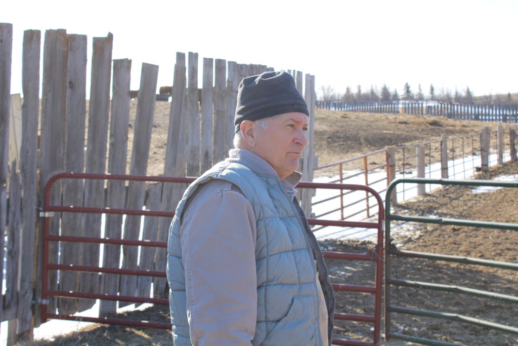 North dakota rancher