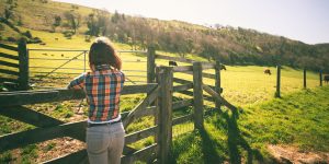 western rancher stares at an empty pasture