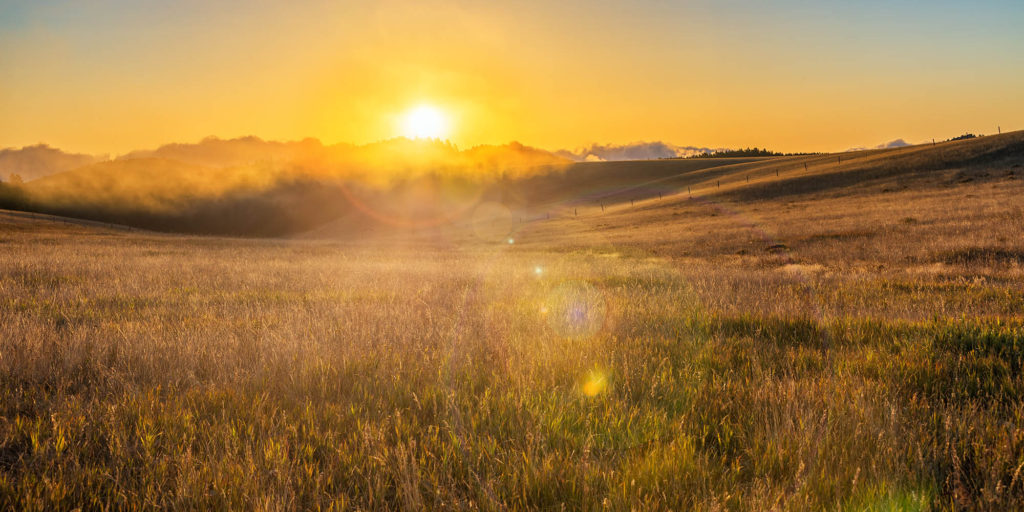 western Agricultural landscape