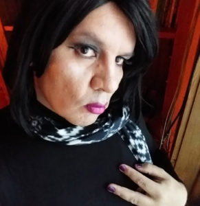 northern cheyanne journalist and writer