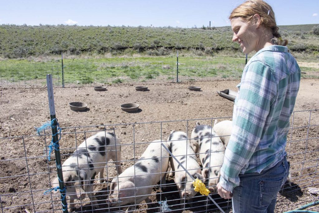 Farmer Amy Young and her pigs