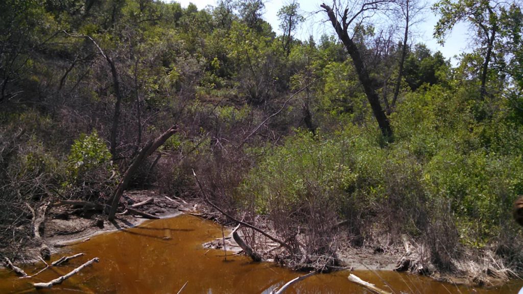 soil destroyed by produced water spills in north dakota