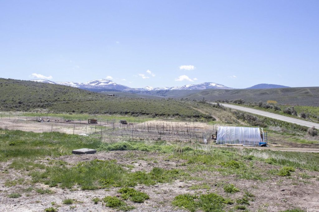 Amy Young's baker, oregon, farms