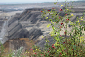 reclaiming coal mines in the west