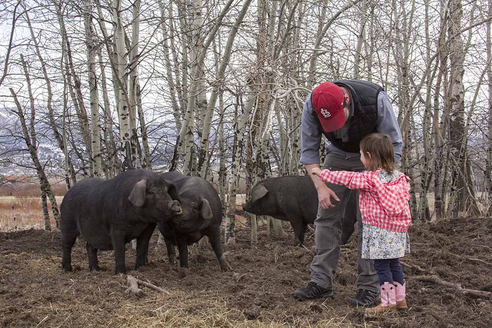 family farm in montana