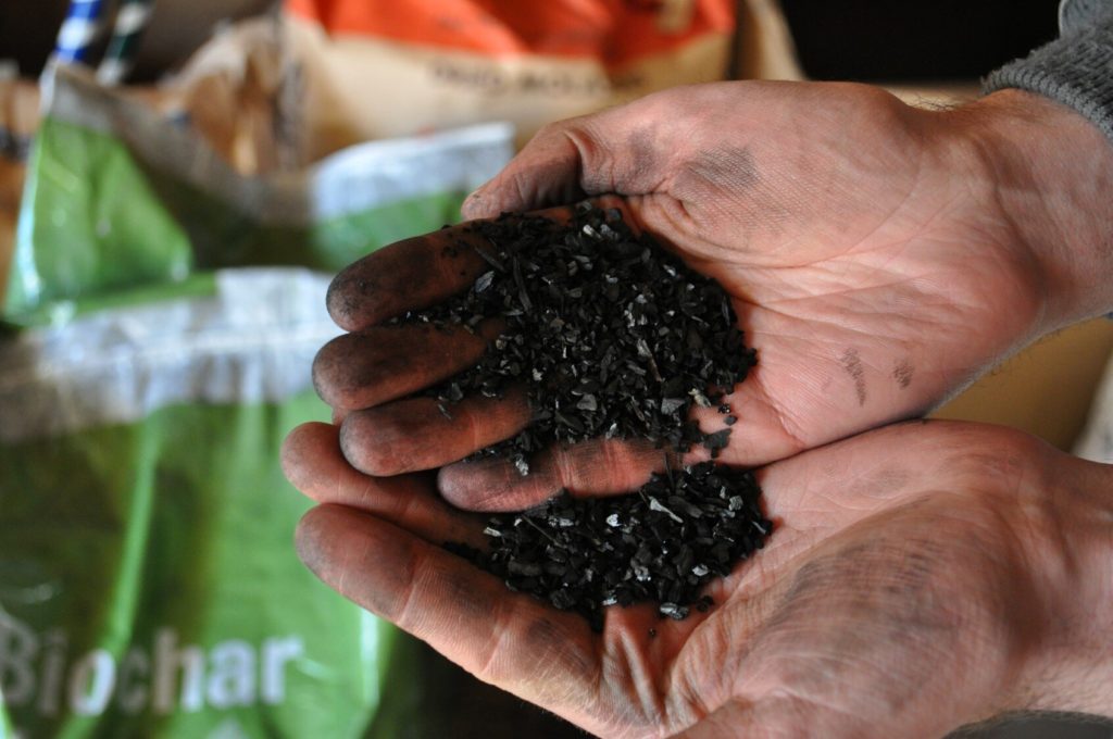 biochar