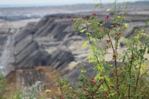 coal mine reclamation