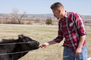 tom feeds a calf nash farms