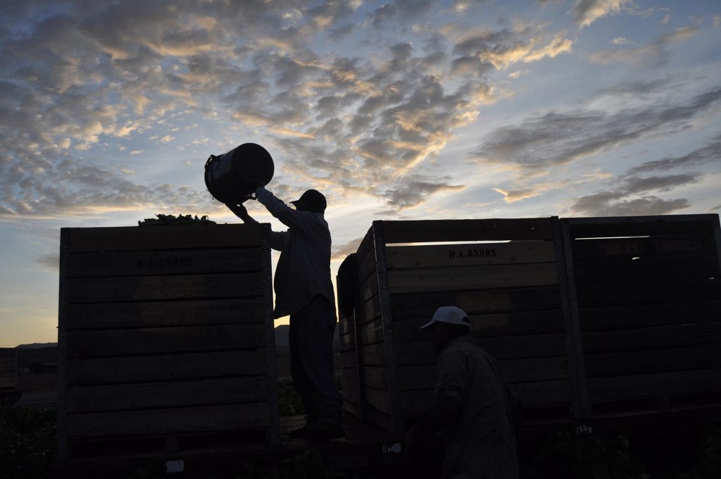 Farmworkers