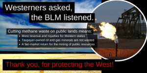 blm methane